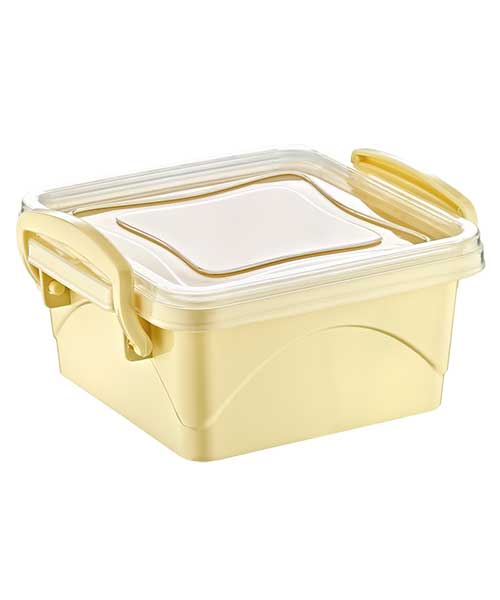 Beehome Mini Box Kare Saklama Kabı  (0,35 Lt) Ak 242