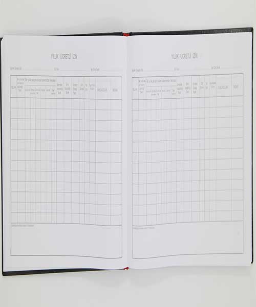 Dilman Yıllık Ücretli İzin Ciltli  20X28,5 192Yp Yatay