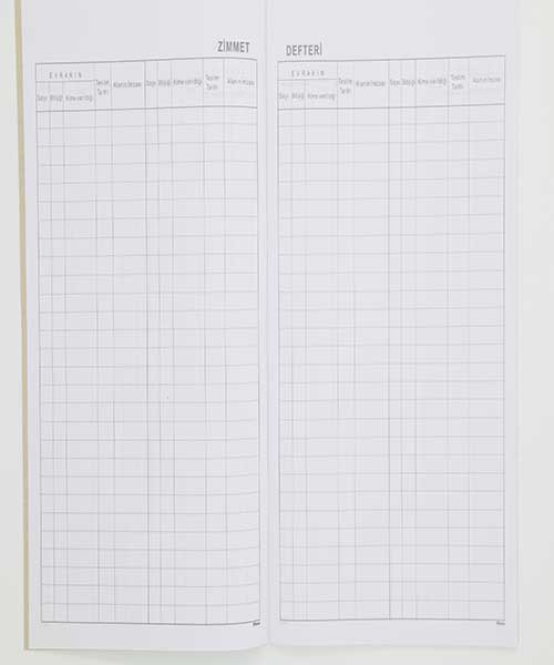 Dilman Zimmet Defteri Karton Kapak 22X32 40Yp