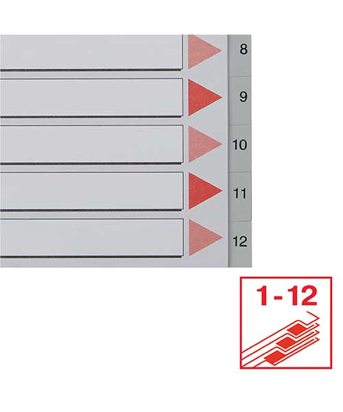Esselte Separatör A4 1-12 Rakam Gri 100106