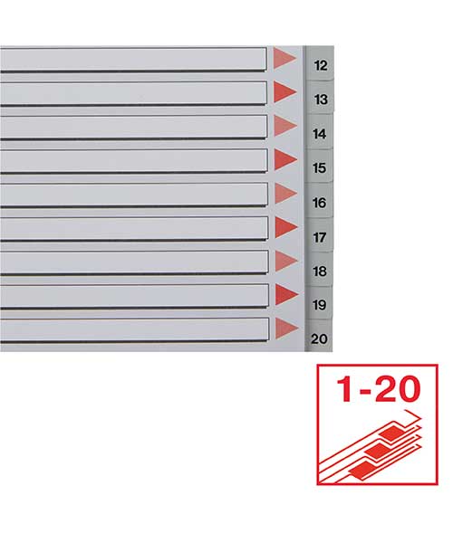Esselte Separatör A4 1-20 Rakam Gri 100107