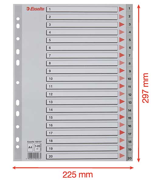 Esselte Separatör A4 1-20 Rakam Gri 100107
