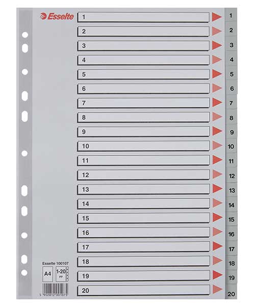 Esselte Separatör A4 1-20 Rakam Gri 100107