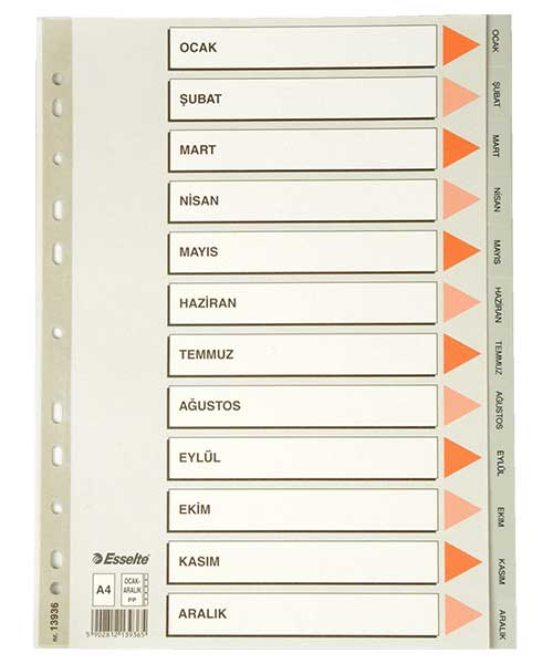 Esselte Separatör A4 Aylar Gri 13936