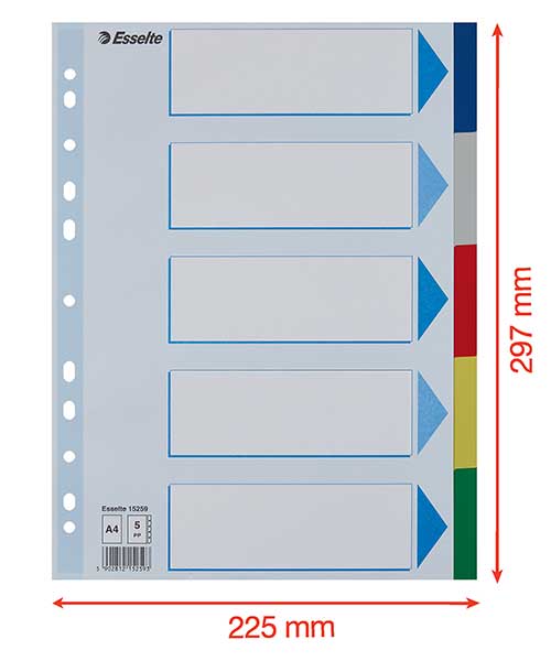 Esselte Separatör A4 5 Renkli Asorti 15259