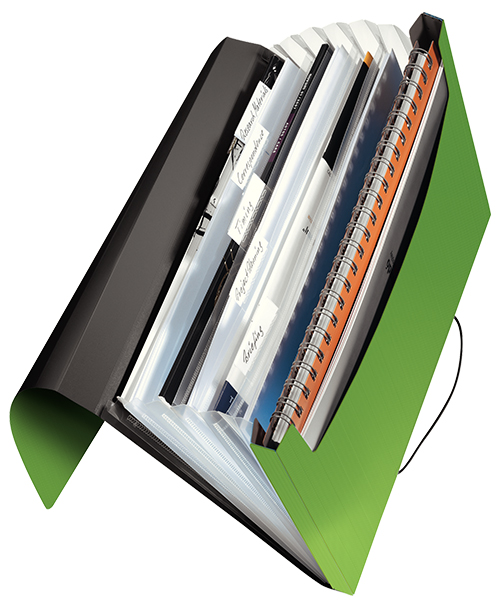 Leitz Solid Proje Dosyası Yeşil 45791050